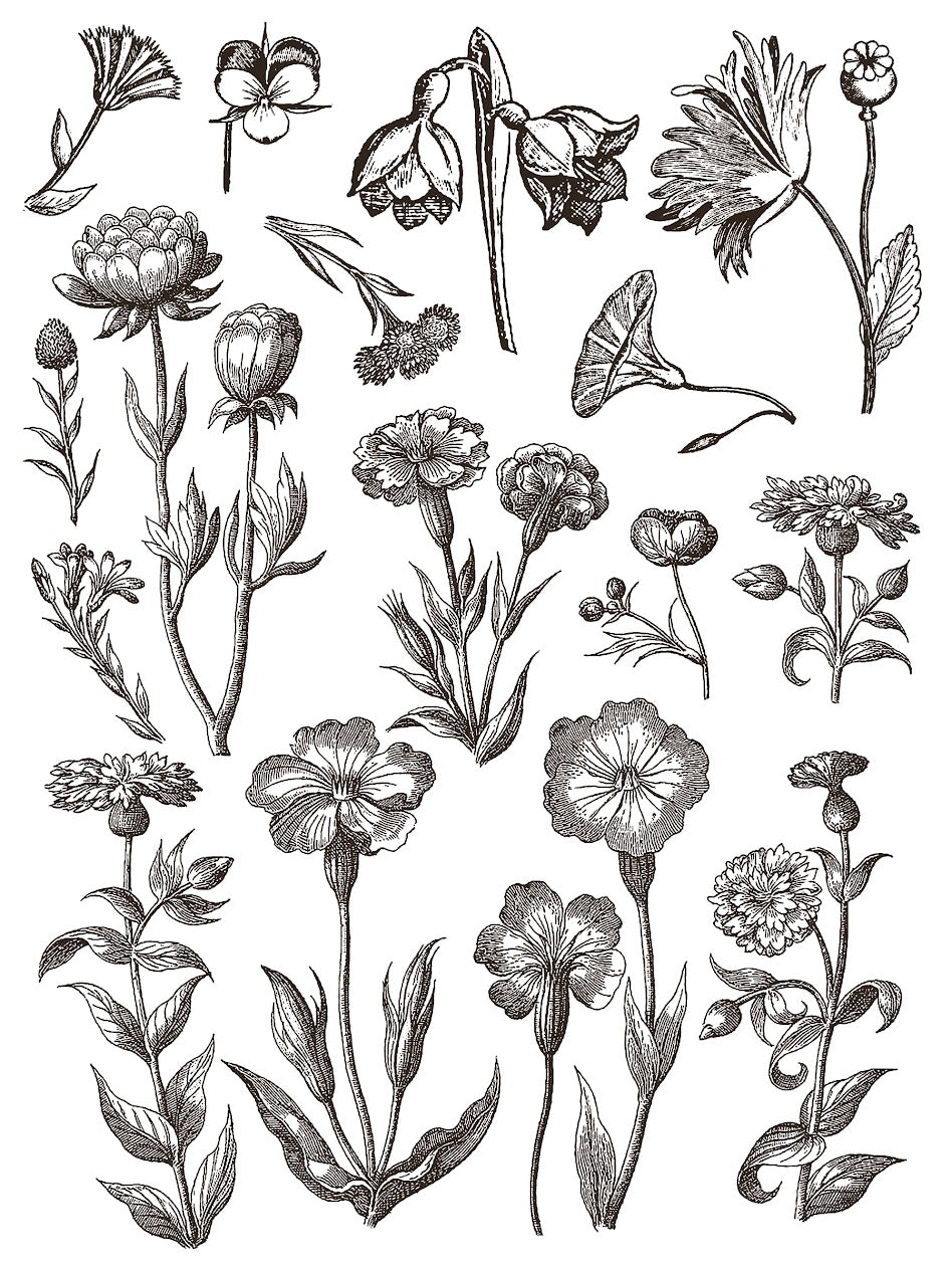 Floriography IOD Inlay Pad