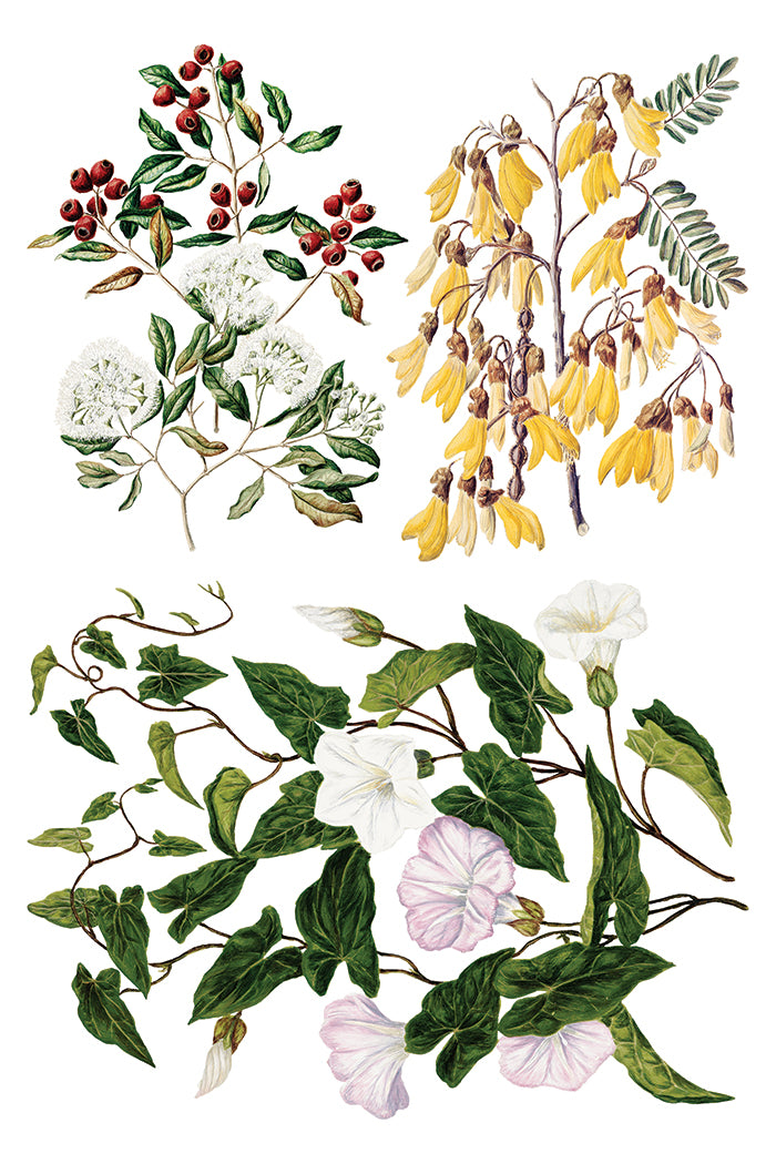 Sarah Featon’s Botanticals IOD Transfer 8x12 Pad