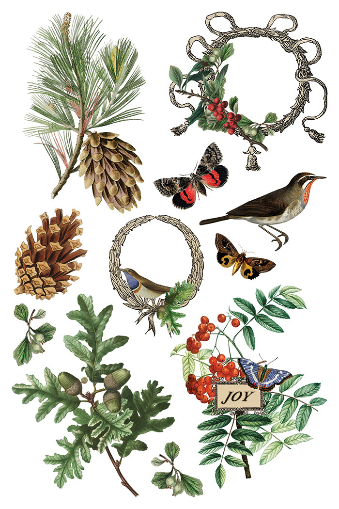 Winter Botanist IOD 8x12 Transfer Pad