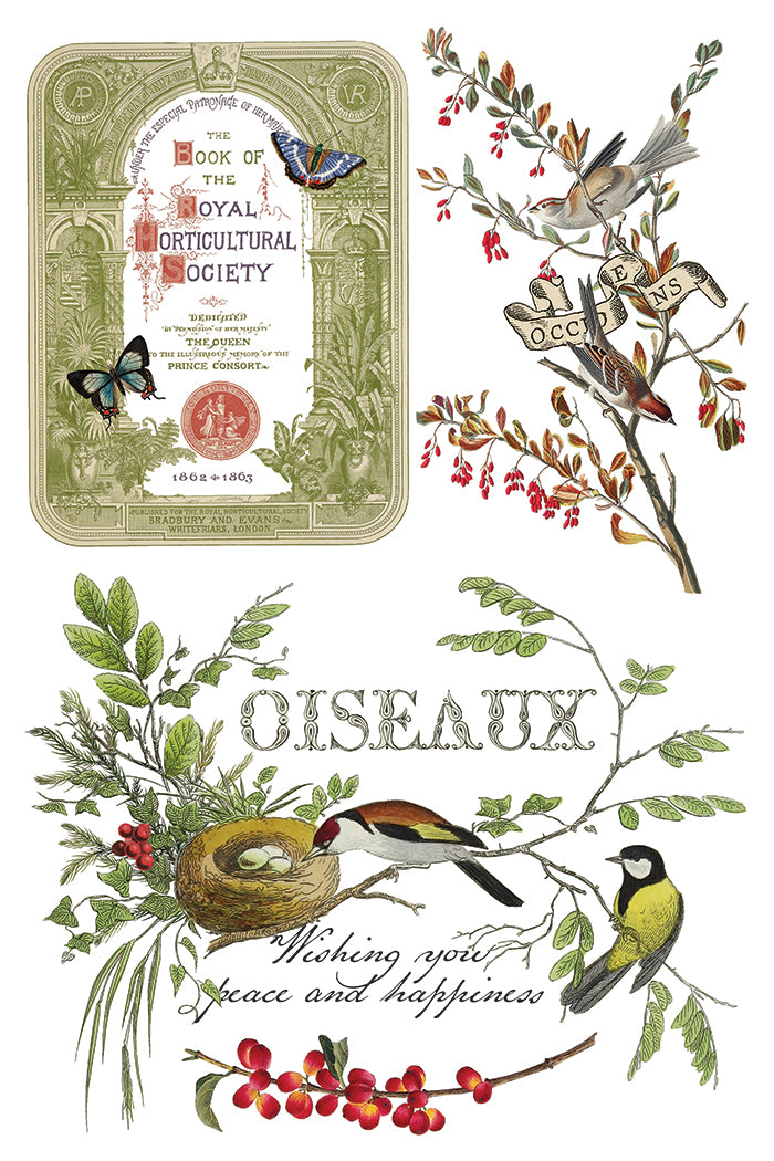 Winter Botanist IOD 8x12 Transfer Pad