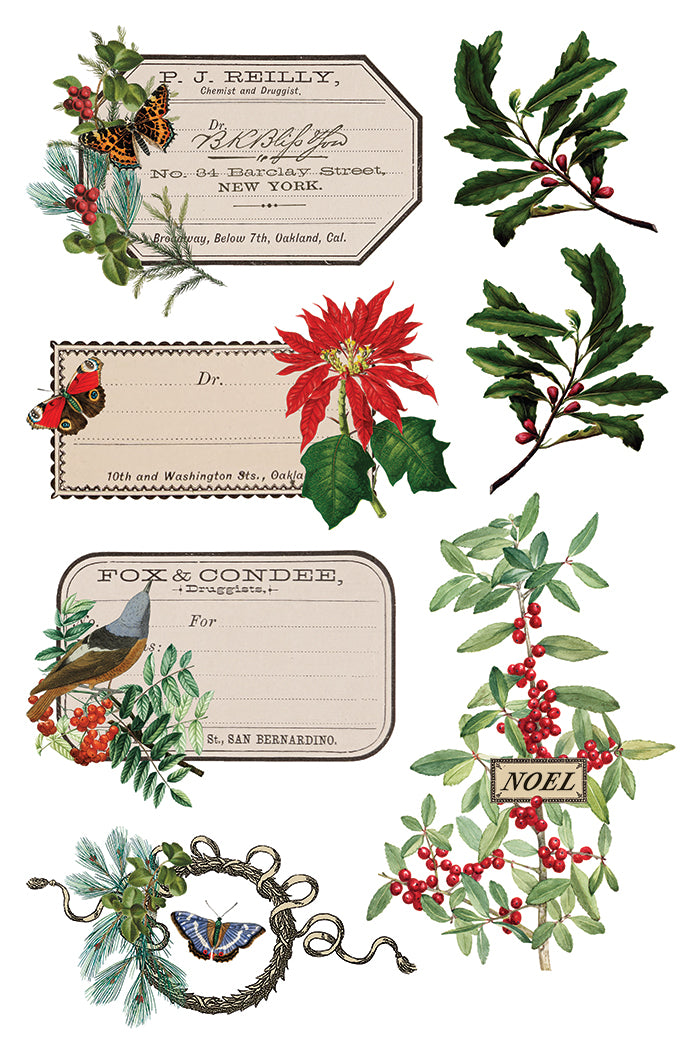 Winter Botanist IOD 8x12 Transfer Pad