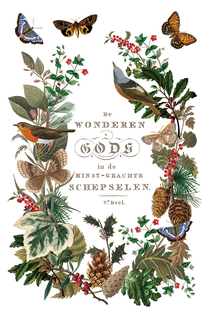 Winter Botanist IOD 8x12 Transfer Pad