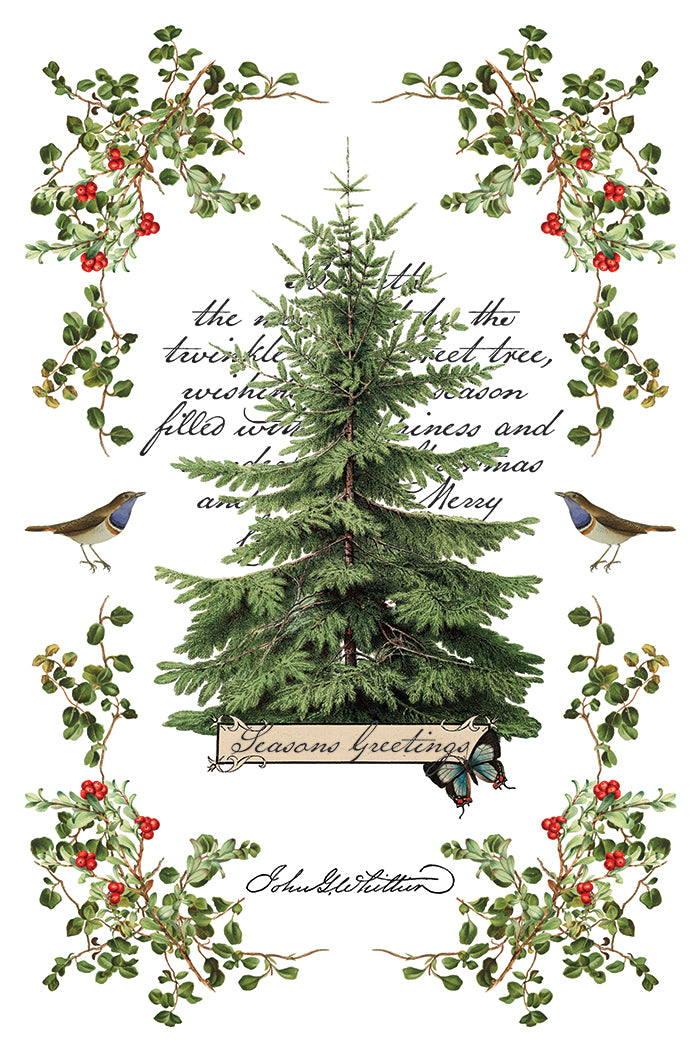Winter Botanist IOD 8x12 Transfer Pad