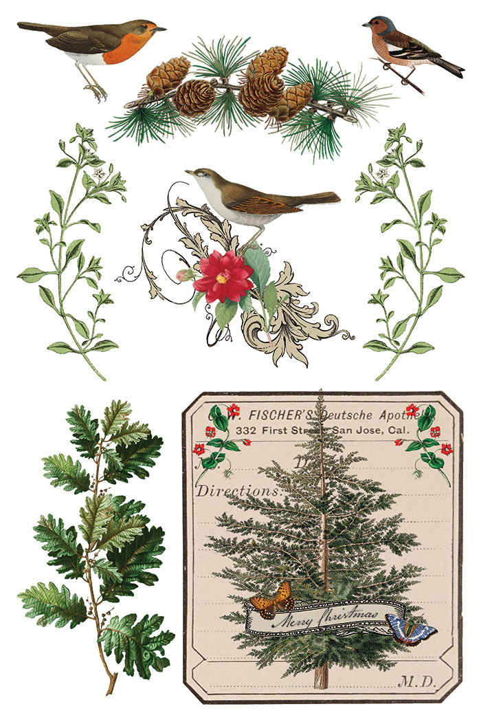 Winter Botanist IOD 8x12 Transfer Pad