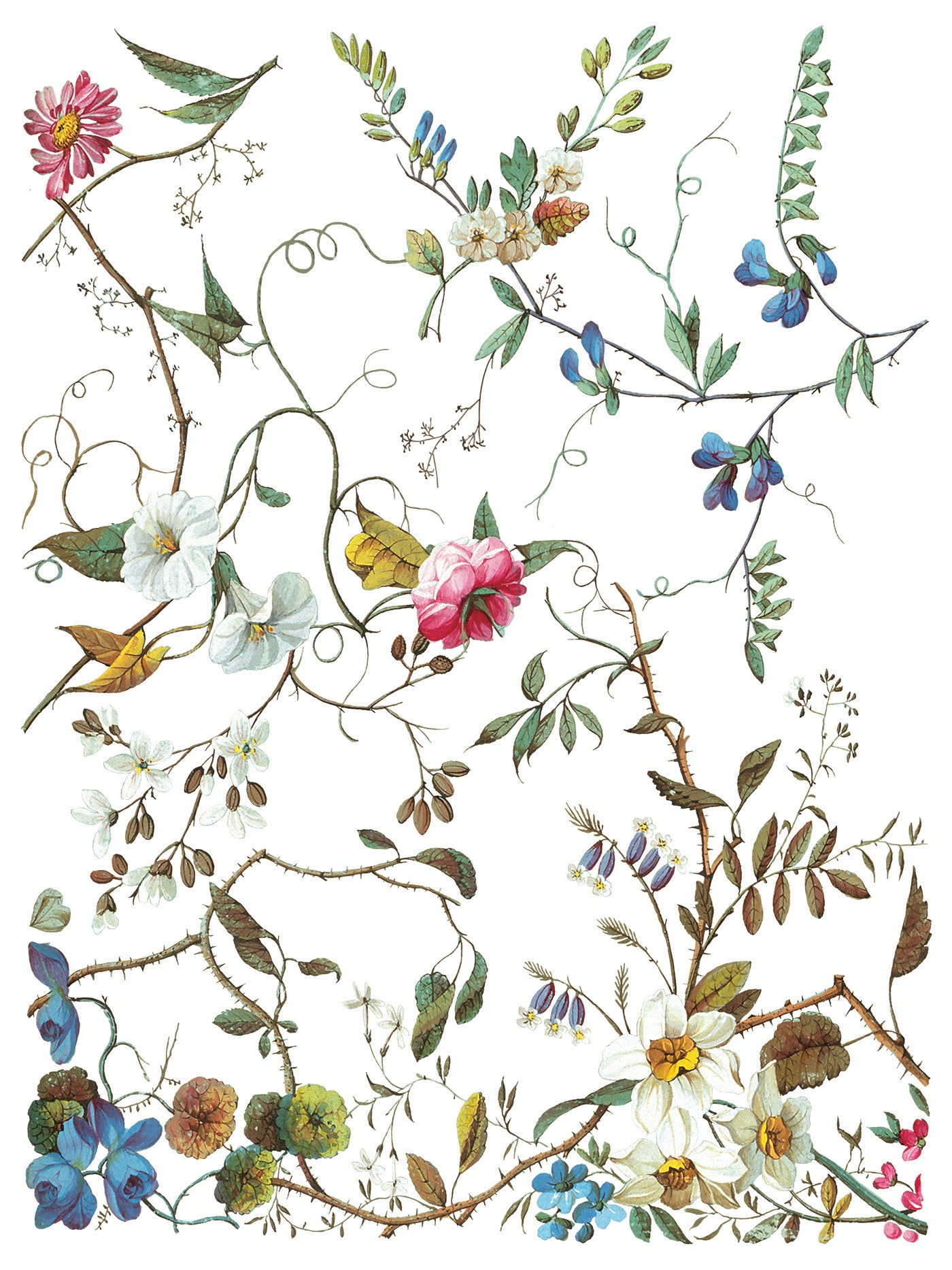 Lost Garden IOD Transfer Pad