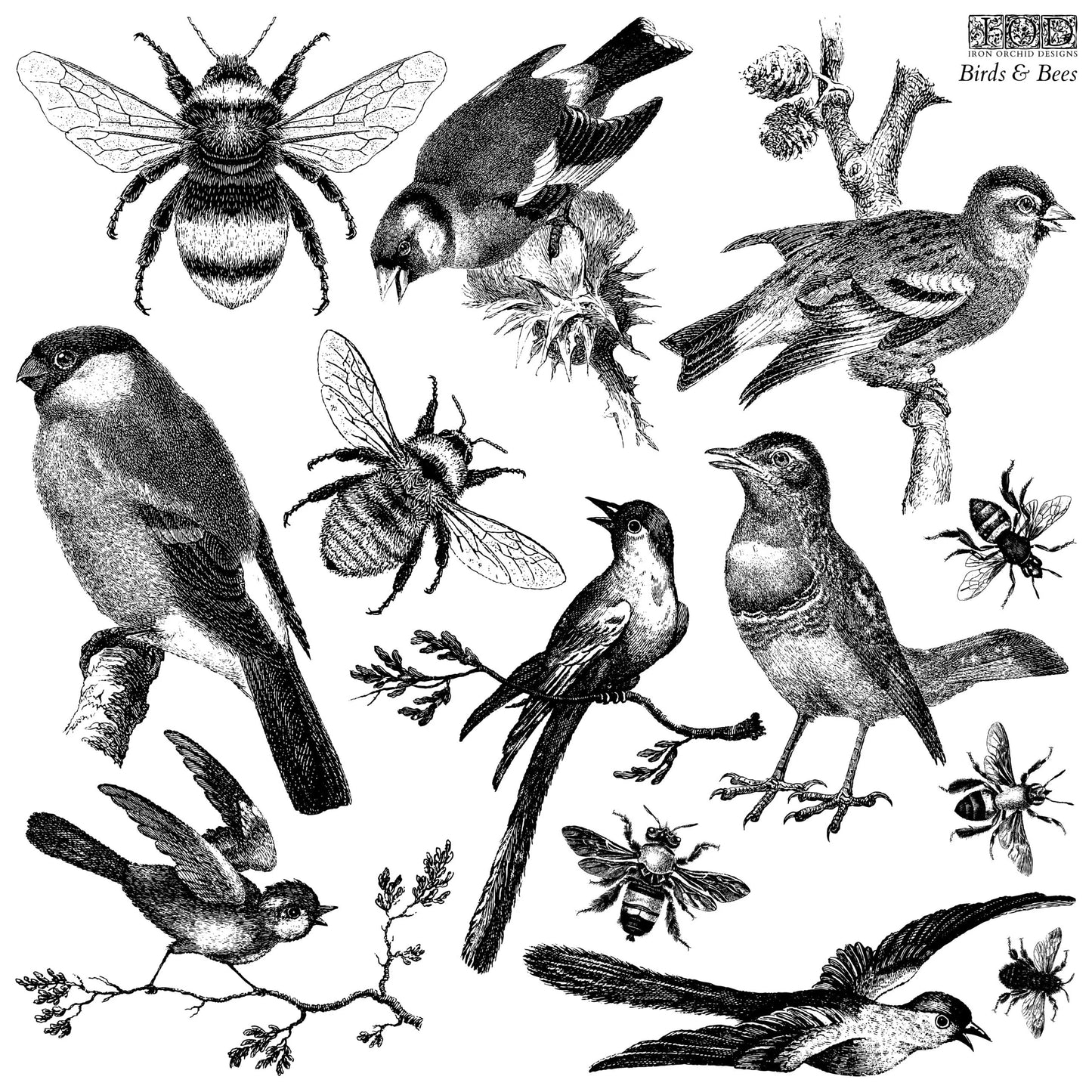 Birds & Bees IOD Stamp