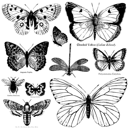 Butterflies IOD Stamp