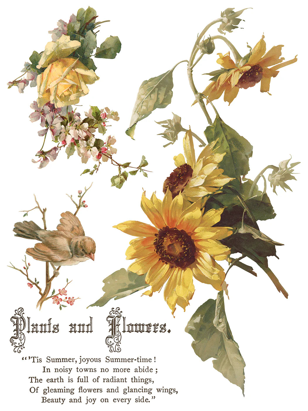 Flowers by the Poets IOD Transfer 12x16 pad