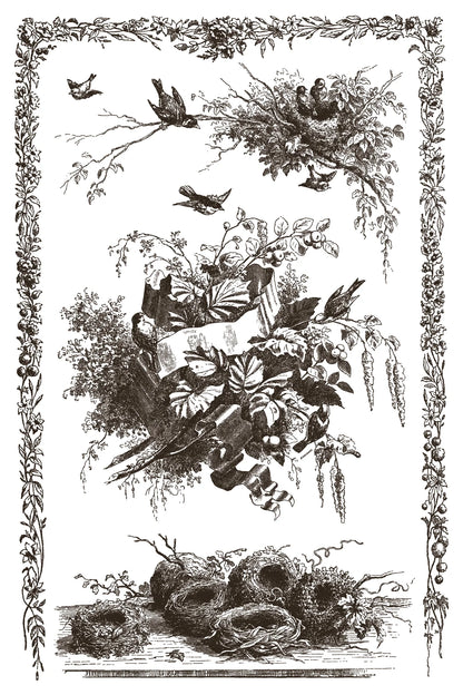 Little Lark IOD 8x12 Inlay