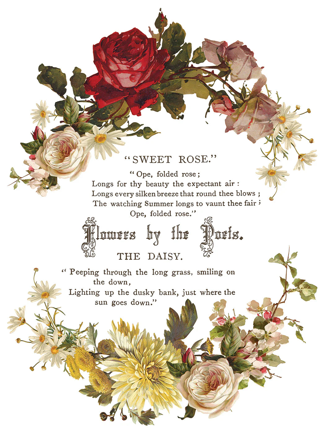 Flowers by the Poets IOD Transfer 12x16 pad