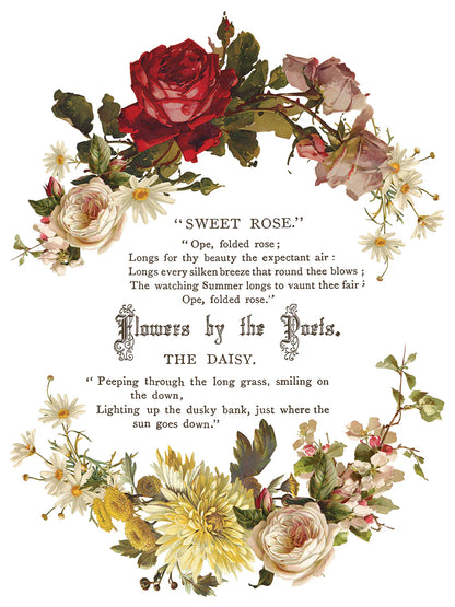 Flowers by the Poets IOD Transfer 12x16 pad