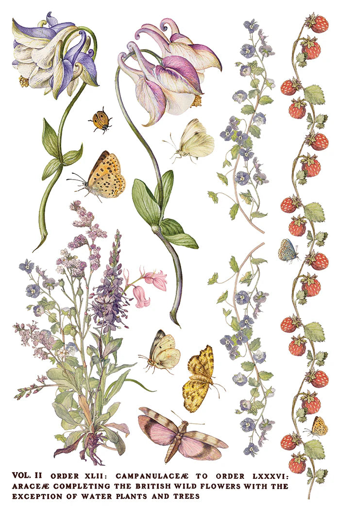 Primrose Isle IOD Transfer 8x12 Pad