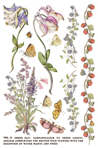 Primrose Isle IOD Transfer 8x12 Pad