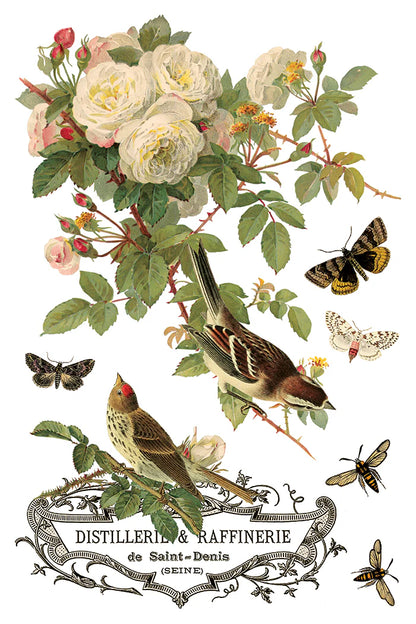 By Any Other Name IOD Transfer 8x12 Pad