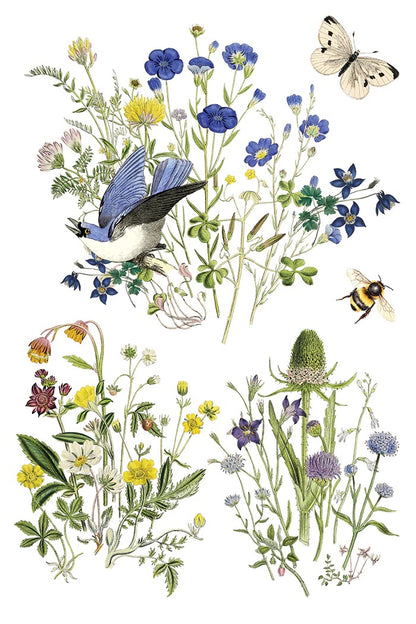 Flora Greco IOD Transfer 8x12 Pad