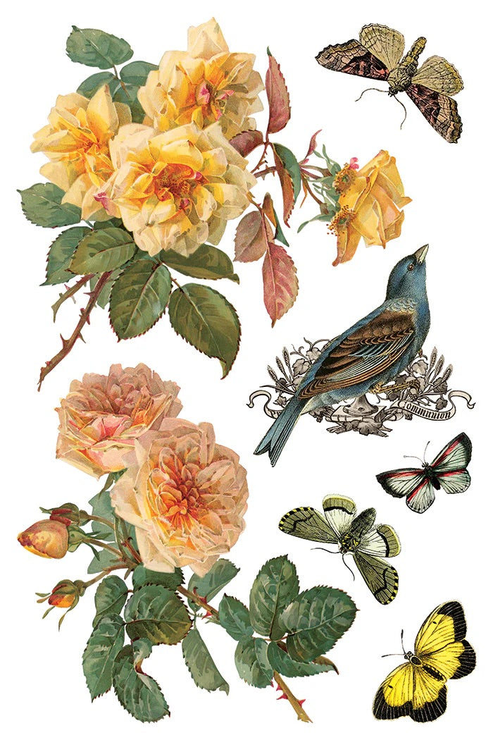 By Any Other Name IOD Transfer 8x12 Pad