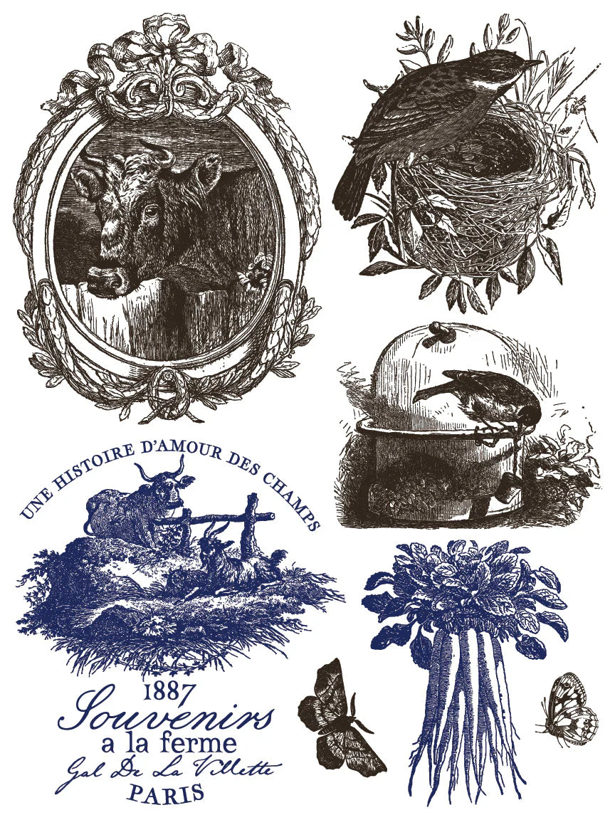 Hameau de la Reine IOD Paint Inlay 12x16 Pad