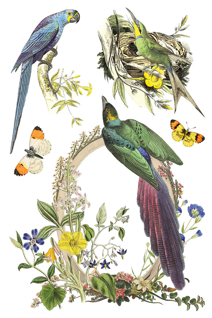 Flora Greco IOD Transfer 8x12 Pad