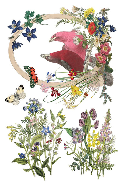 Flora Greco IOD Transfer 8x12 Pad