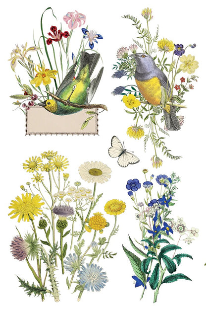 Flora Greco IOD Transfer 8x12 Pad