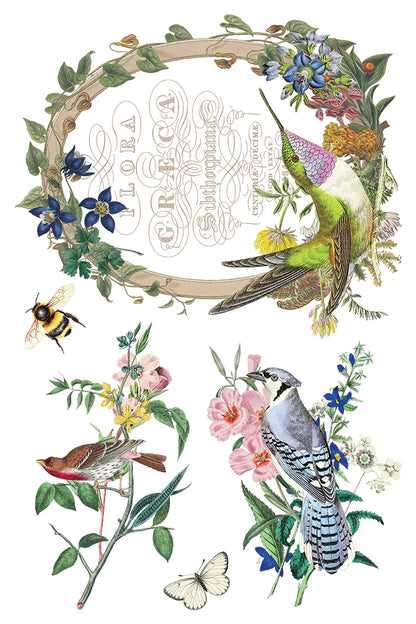 Flora Greco IOD Transfer 8x12 Pad