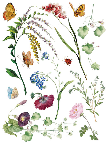 Marche’ des Fleurs IOD Transfer 12x16 Pad