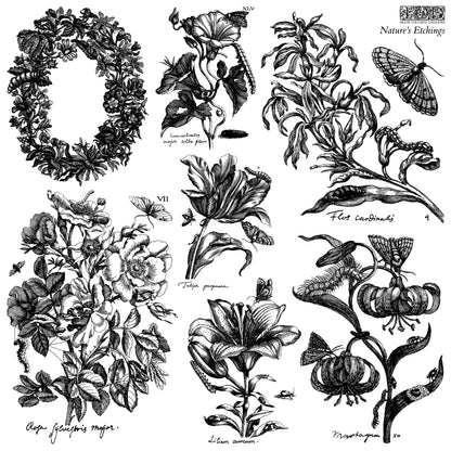 Natures Etchings IOD 12x12 Samp