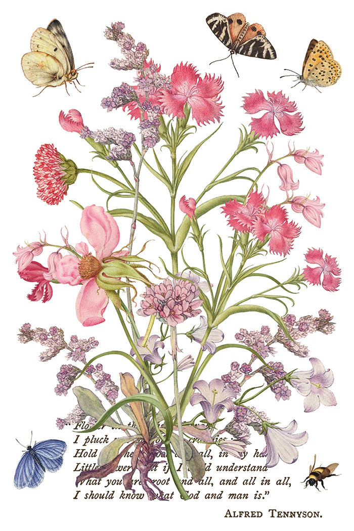 Primrose Isle IOD Transfer 8x12 Pad