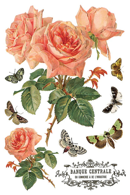 By Any Other Name IOD Transfer 8x12 Pad