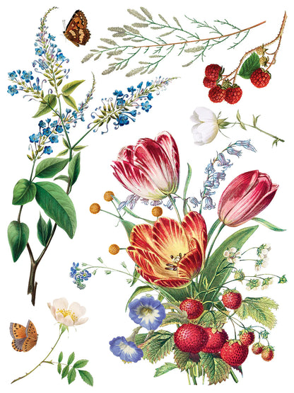 Marche’ des Fleurs IOD Transfer 12x16 Pad