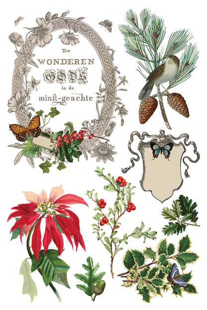 Winter Botanist IOD 8x12 Transfer Pad