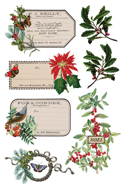 Winter Botanist IOD 8x12 Transfer Pad
