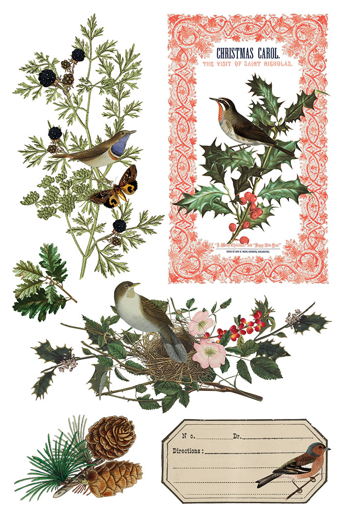 Winter Botanist IOD 8x12 Transfer Pad
