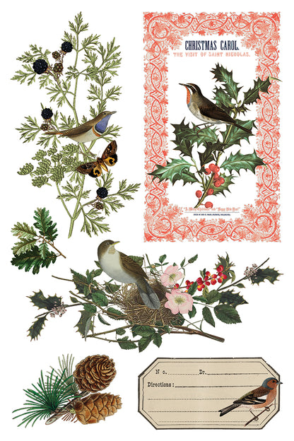 Winter Botanist IOD 8x12 Transfer Pad