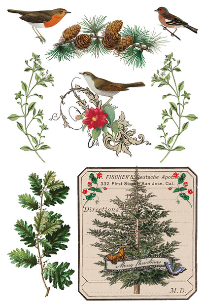 Winter Botanist IOD 8x12 Transfer Pad