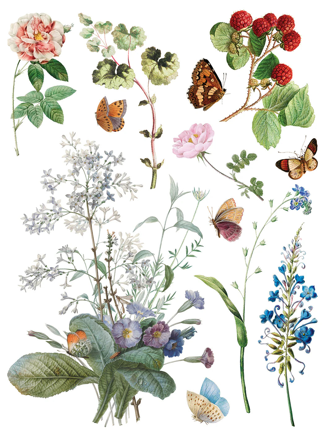 Marche’ des Fleurs IOD Transfer 12x16 Pad