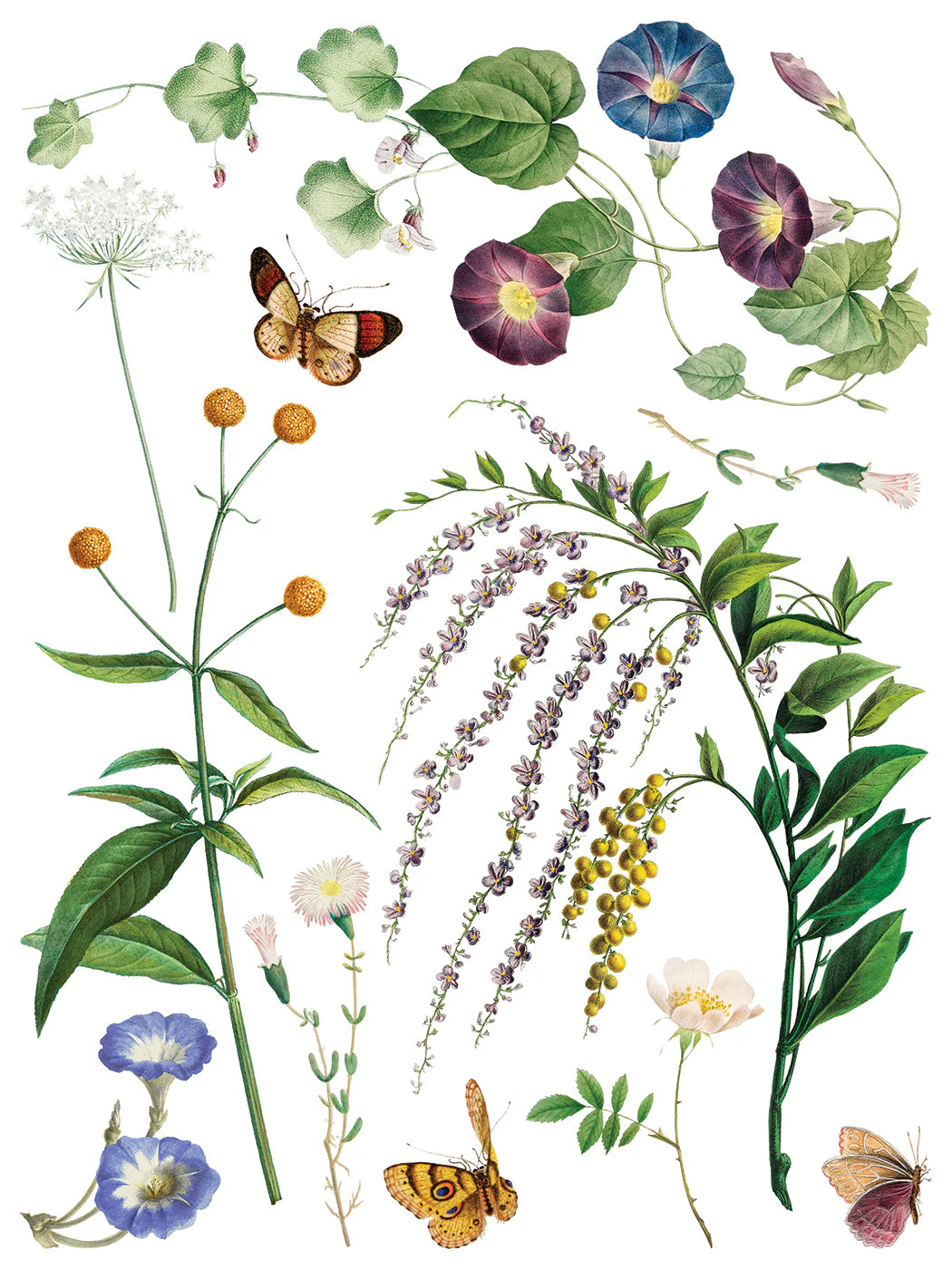 Marche’ des Fleurs IOD Transfer 12x16 Pad