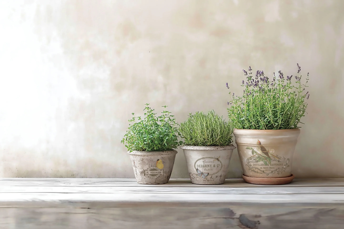 By Any Other Name IOD Transfer 8x12 Pad