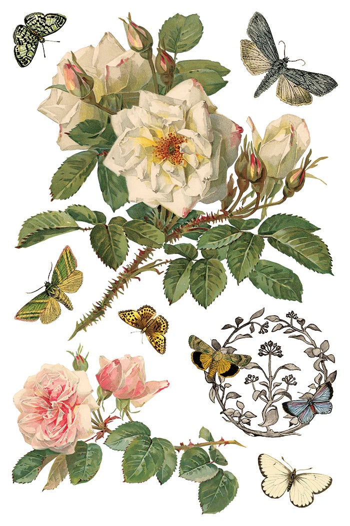 By Any Other Name IOD Transfer 8x12 Pad