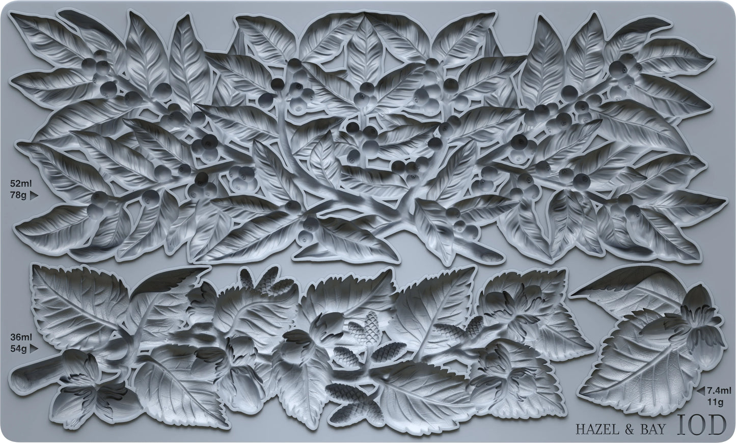 Hazel & Bay 6x10 IOD Mould