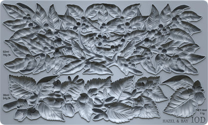 Hazel & Bay 6x10 IOD Mould